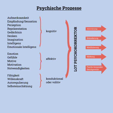 "Prozesse