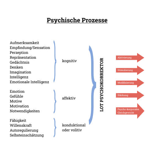 "Prozesse"